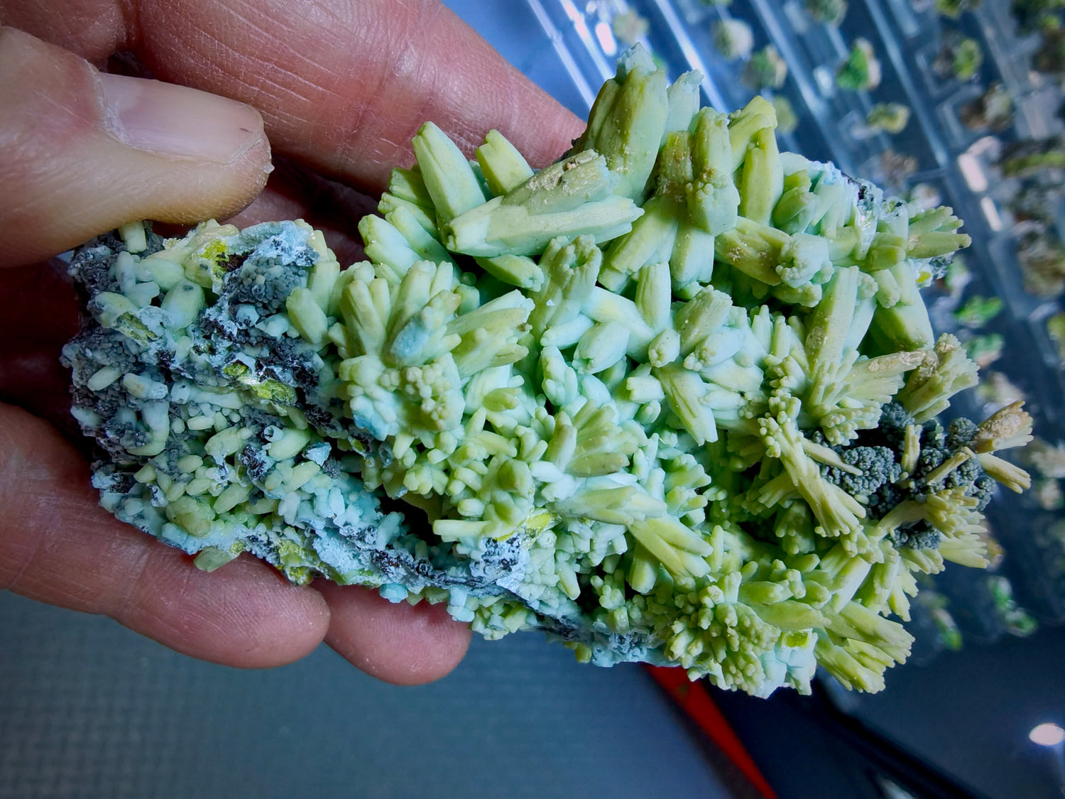 THE VAULT Mineral specimens