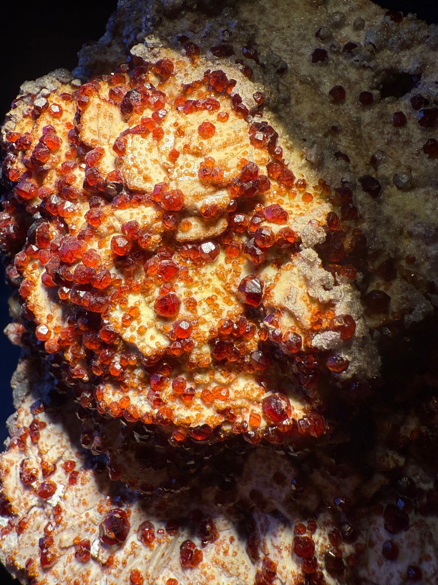 garnet specimen with sparkling reddish-orange crystals on matrix, Fujian, China.
garnet detail photos