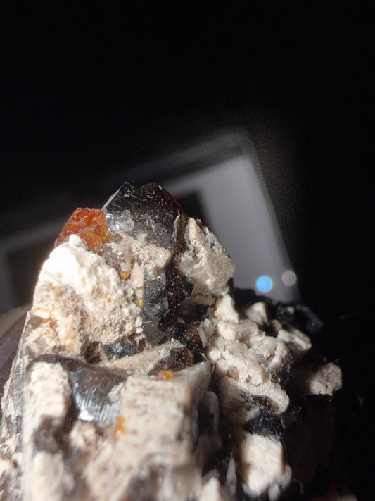 GARNET-5334CB - Photo #1