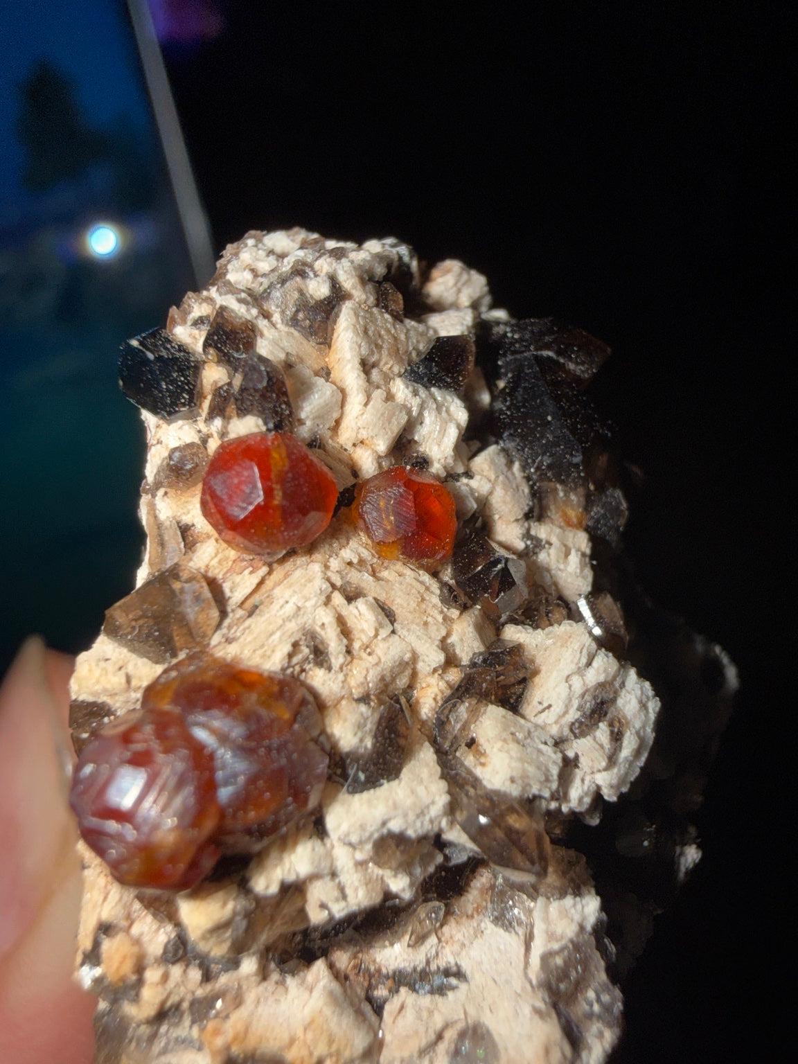GARNET-C854B3 - Photo #3