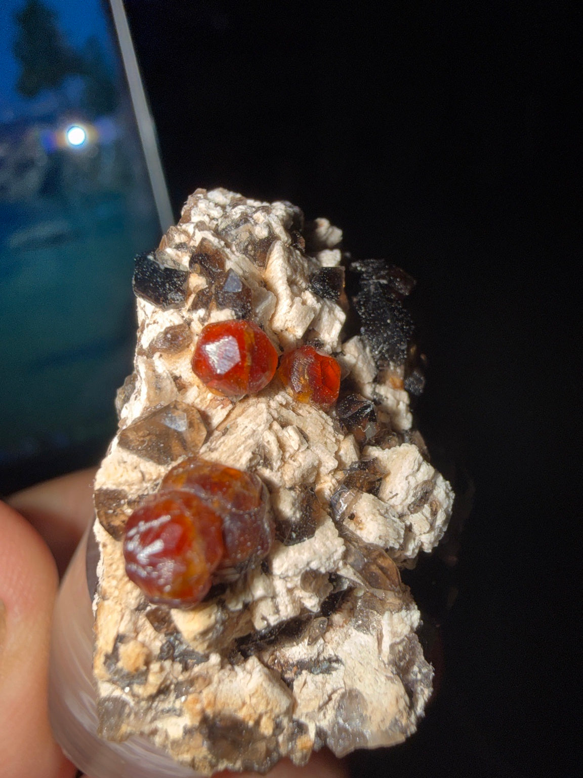GARNET-C854B3 - Photo #4
