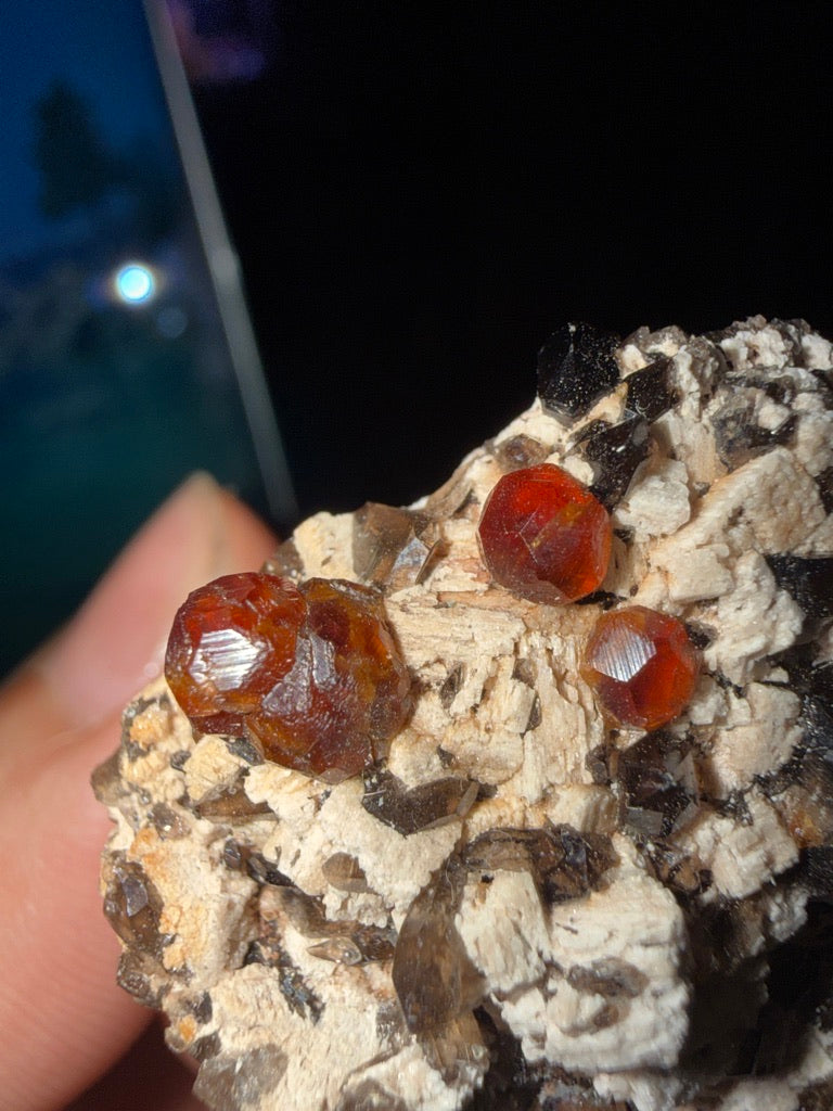 GARNET-C854B3 - Photo #2