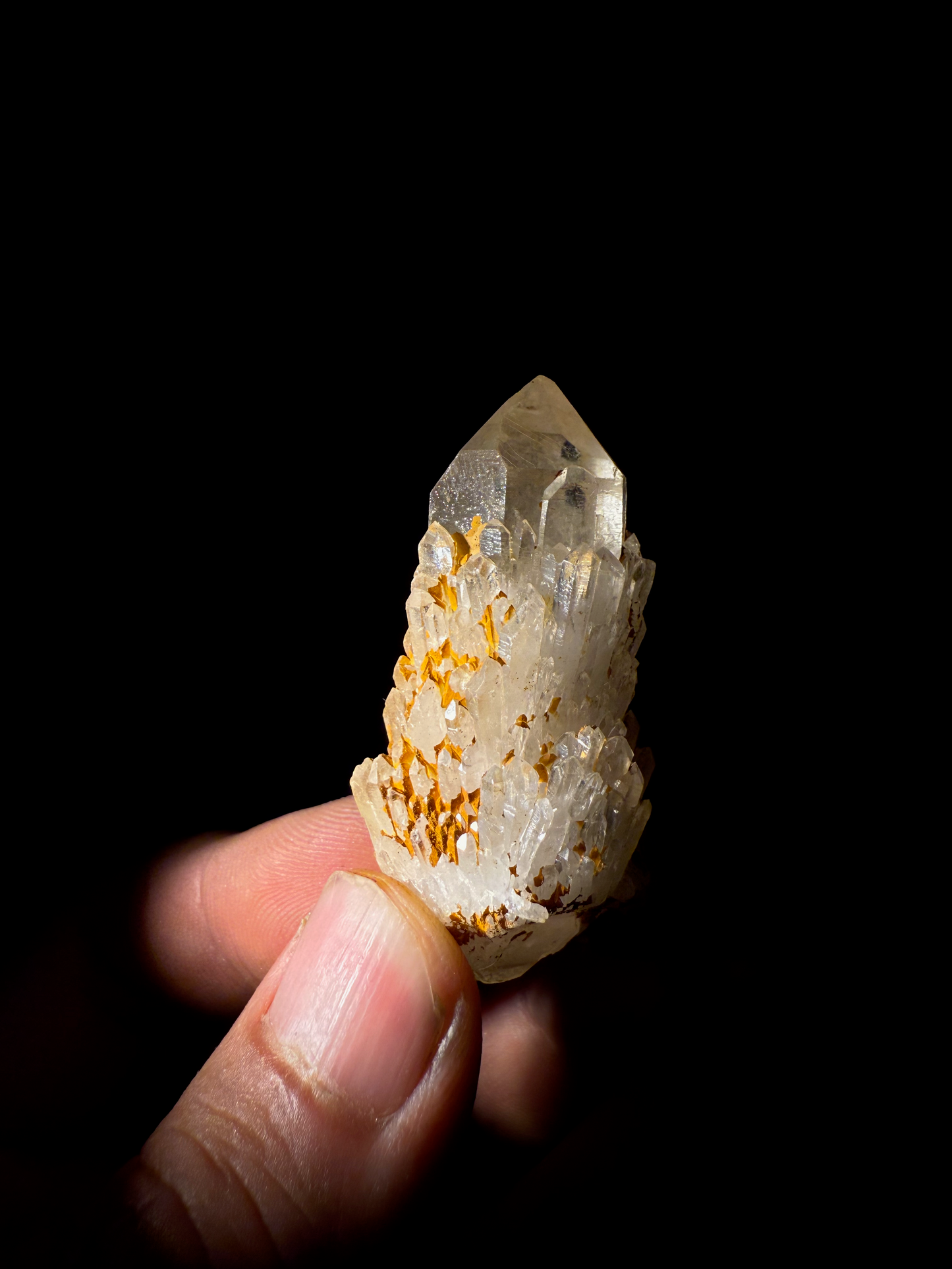 Golden Candle Quartz Crystal Cluster 001