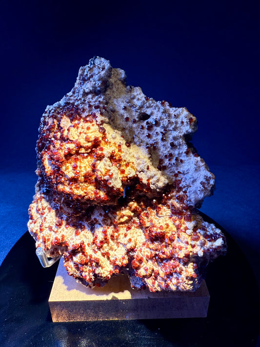 Spessartine Garnet specimen with sparkling reddish-orange crystals on matrix, Fujian, China. 