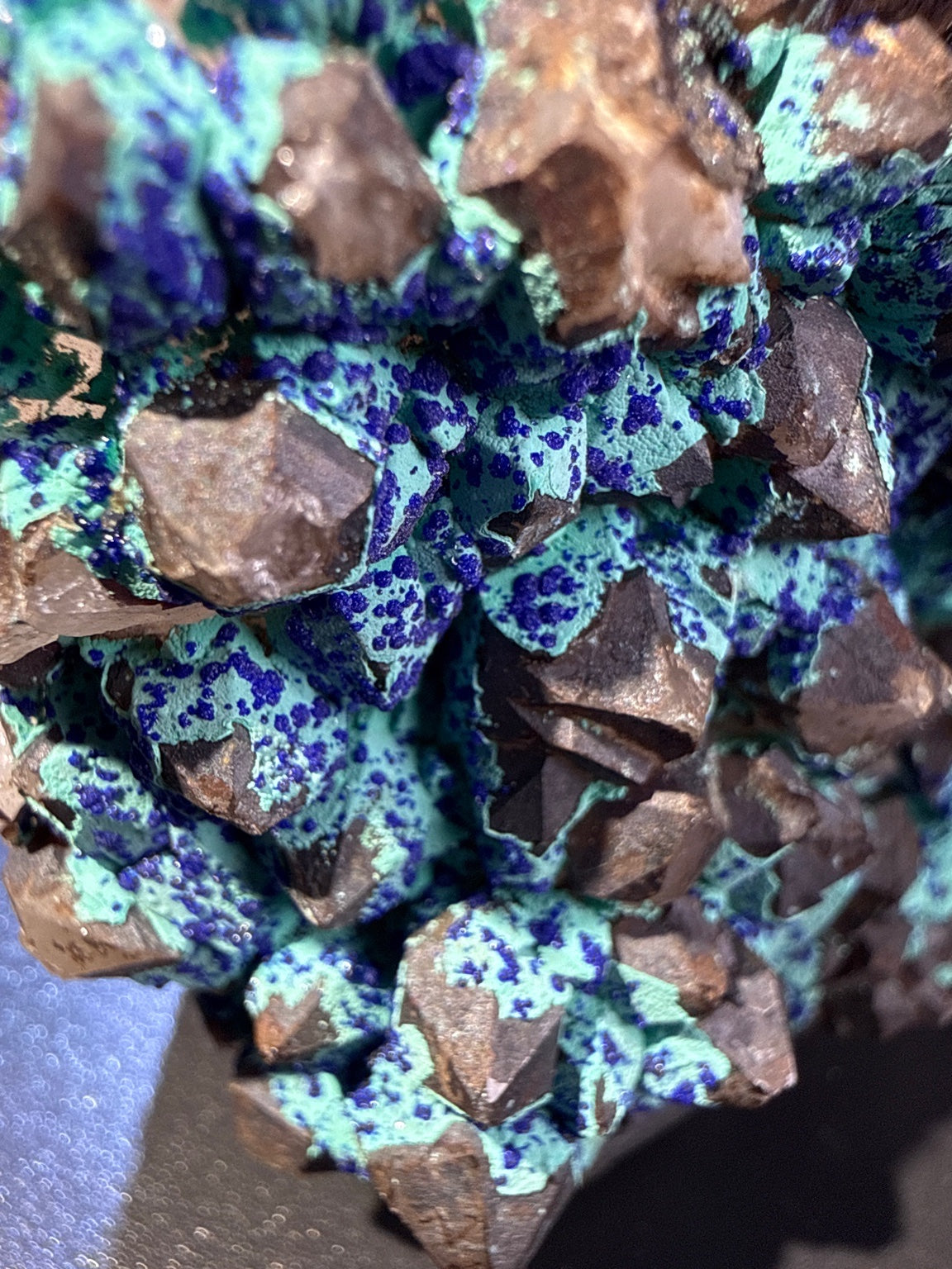 Olivenite with azurite and Quartz specimen from Dongchuan, Yunnan — olive-green olivenite with deep blue azurite on colorless quartz, vitreous to subadamantine (olivenite), vitreous (quartz), earthy (azurite) luster, olivenite: translucent; azurite: opaque to translucent microcrystalline; quartz: transparent (5.1×4.5×6.5 cm), close-up detail of crystal structure — OLI-0037