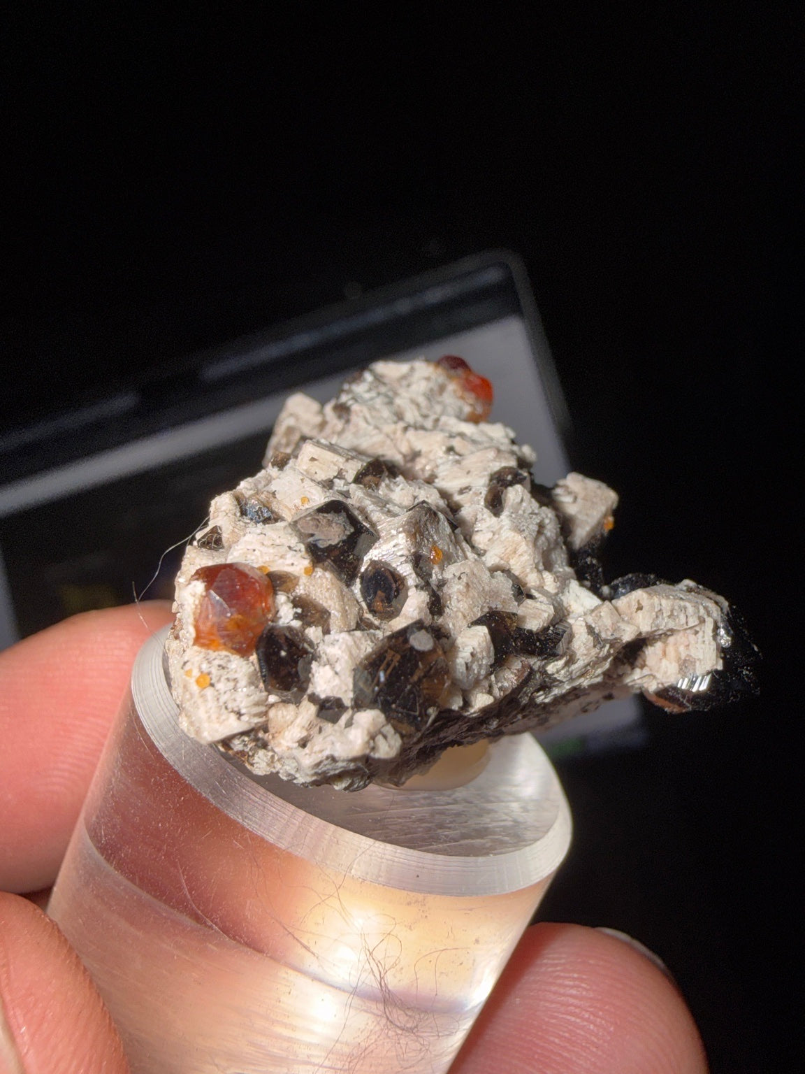 GARNET-5334CB - Photo #3