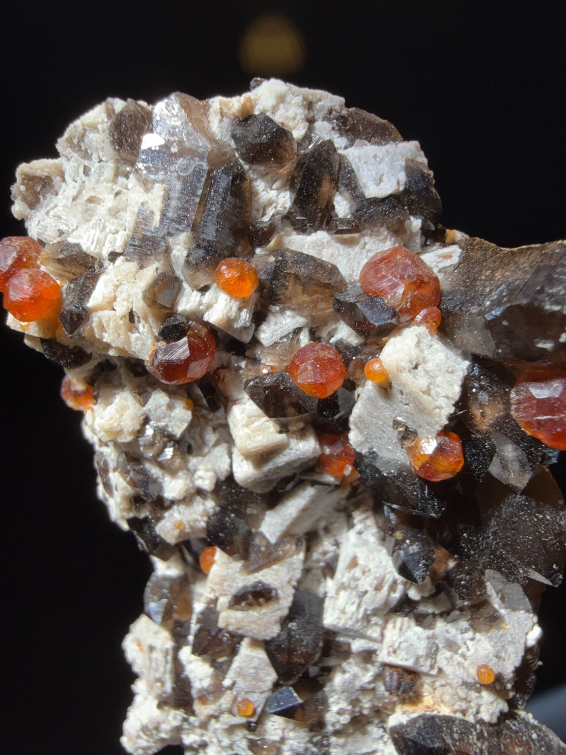 Spessartine Garnet with Smoky Quartz on Muscovite mica-schist matrix specimen from Putian , Fujian — vivid orange-red spessartine garnets on smoky quartz and silvery muscovite, vitreous to subadamantine (garnet), vitreous (quartz), pearly (muscovite) luster, transparent to translucent (garnet and quartz), opaque (matrix) (3×2×6.5 cm) — SPE-0017