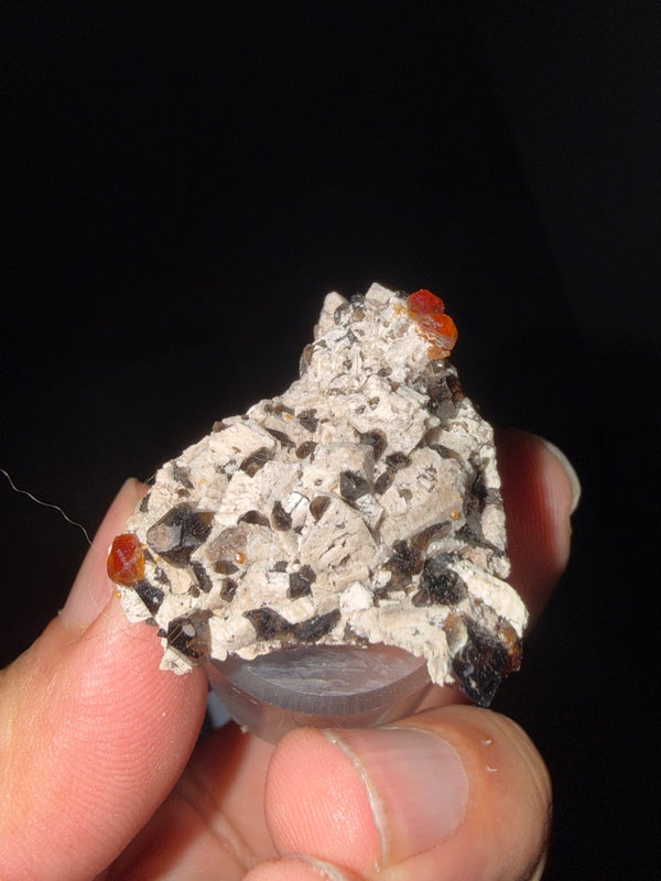 GARNET-5334CB - Main Image