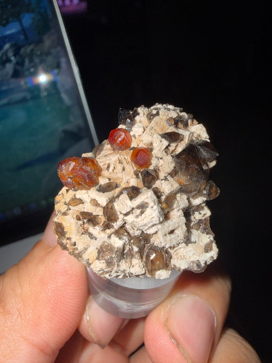 GARNET-C854B3 - Main Image