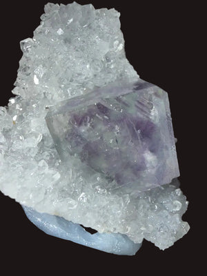 FLU-0006 - Main Image