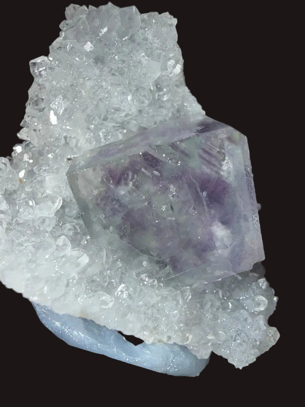 FLU-0006 - Main Image