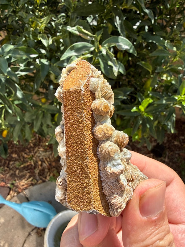 Quartz (coated with iron oxide - Limonite) with Calcite specimen from huanggangliang zone5, Inner Mongolia — brown with yellowish tones, vitreous to earthy luster, transparent to translucent — QUA-0012