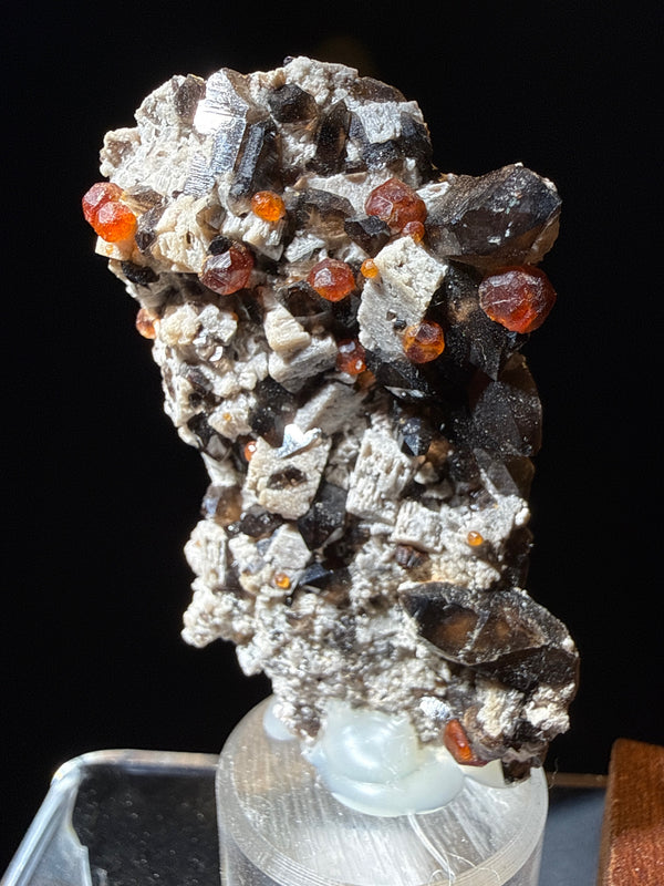 Spessartine Garnet with Smoky Quartz on Muscovite mica-schist matrix specimen from Putian , Fujian — vivid orange-red spessartine garnets on smoky quartz and silvery muscovite, vitreous to subadamantine (garnet), vitreous (quartz), pearly (muscovite) luster, transparent to translucent (garnet and quartz), opaque (matrix) (3×2×6.5 cm) — SPE-0017