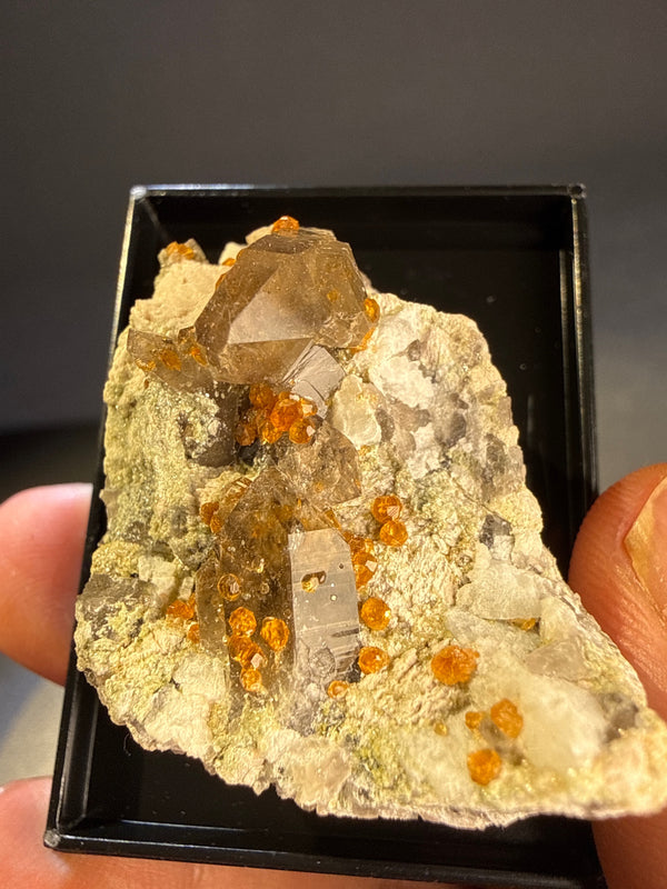 Spessartine Garnet with Smoky Quartz specimen from yunxiao, Fujian — orange spessartine garnet on smoky quartz, vitreous luster, translucent to transparent (primary), transparent to translucent (secondary) — SPE-0036