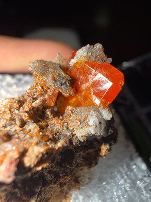Wulfenite on Limonite/Goethite-rich host rock matrix specimen from red cloud mine, Arizona — vivid orange-red wulfenite on earthy brown limonite matrix, vitrous to resinous luster, translucent to transparent — WUL-0054