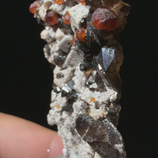 Spessartine Garnet with Smoky Quartz on Muscovite mica-schist matrix specimen from Putian , Fujian — vivid orange-red spessartine garnets on smoky quartz and silvery muscovite, vitreous to subadamantine (garnet), vitreous (quartz), pearly (muscovite) luster, transparent to translucent (garnet and quartz), opaque (matrix) (3×2×6.5 cm), 360° rotation video — SPE-0017