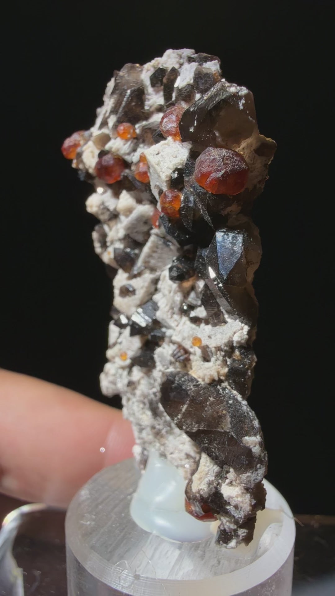 Spessartine Garnet with Smoky Quartz on Muscovite mica-schist matrix specimen from Putian , Fujian — vivid orange-red spessartine garnets on smoky quartz and silvery muscovite, vitreous to subadamantine (garnet), vitreous (quartz), pearly (muscovite) luster, transparent to translucent (garnet and quartz), opaque (matrix) (3×2×6.5 cm), 360° rotation video — SPE-0017