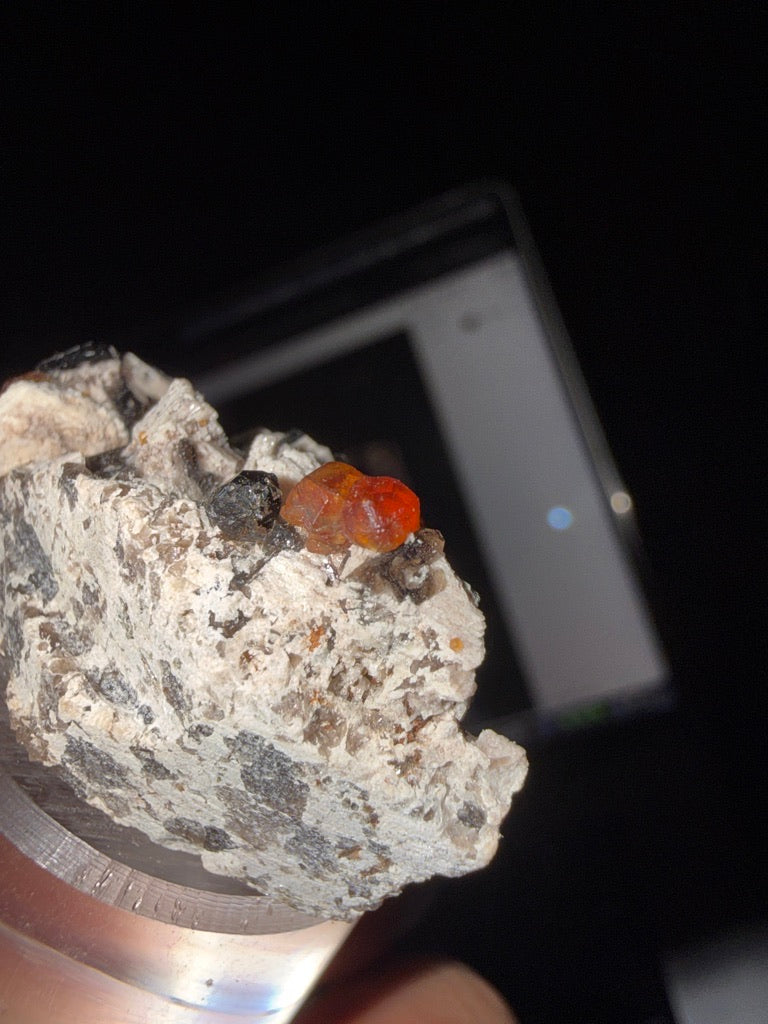 GARNET-5334CB - Photo #2